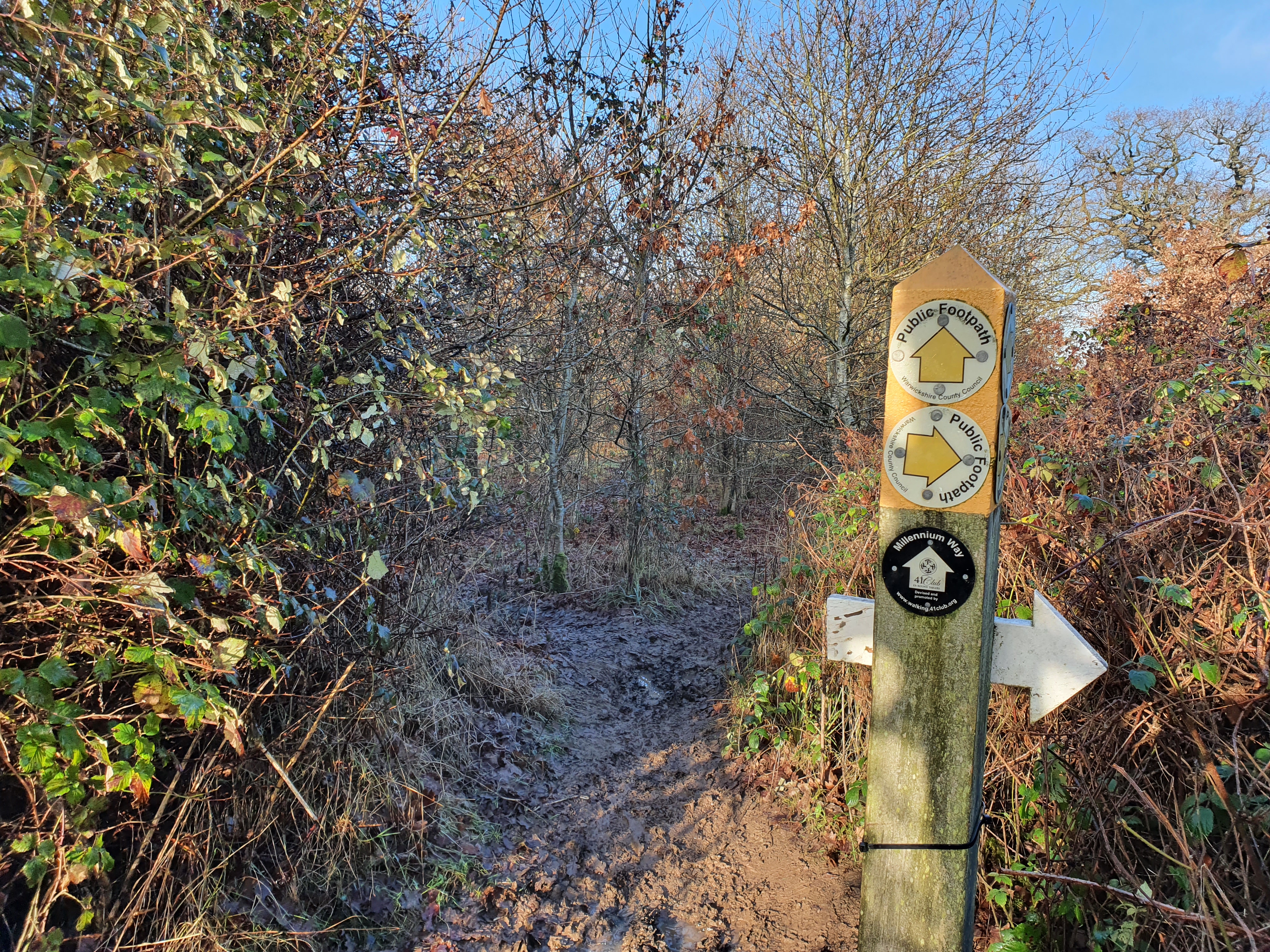 Waymark sign at point where paths diverge in lightly wooded section