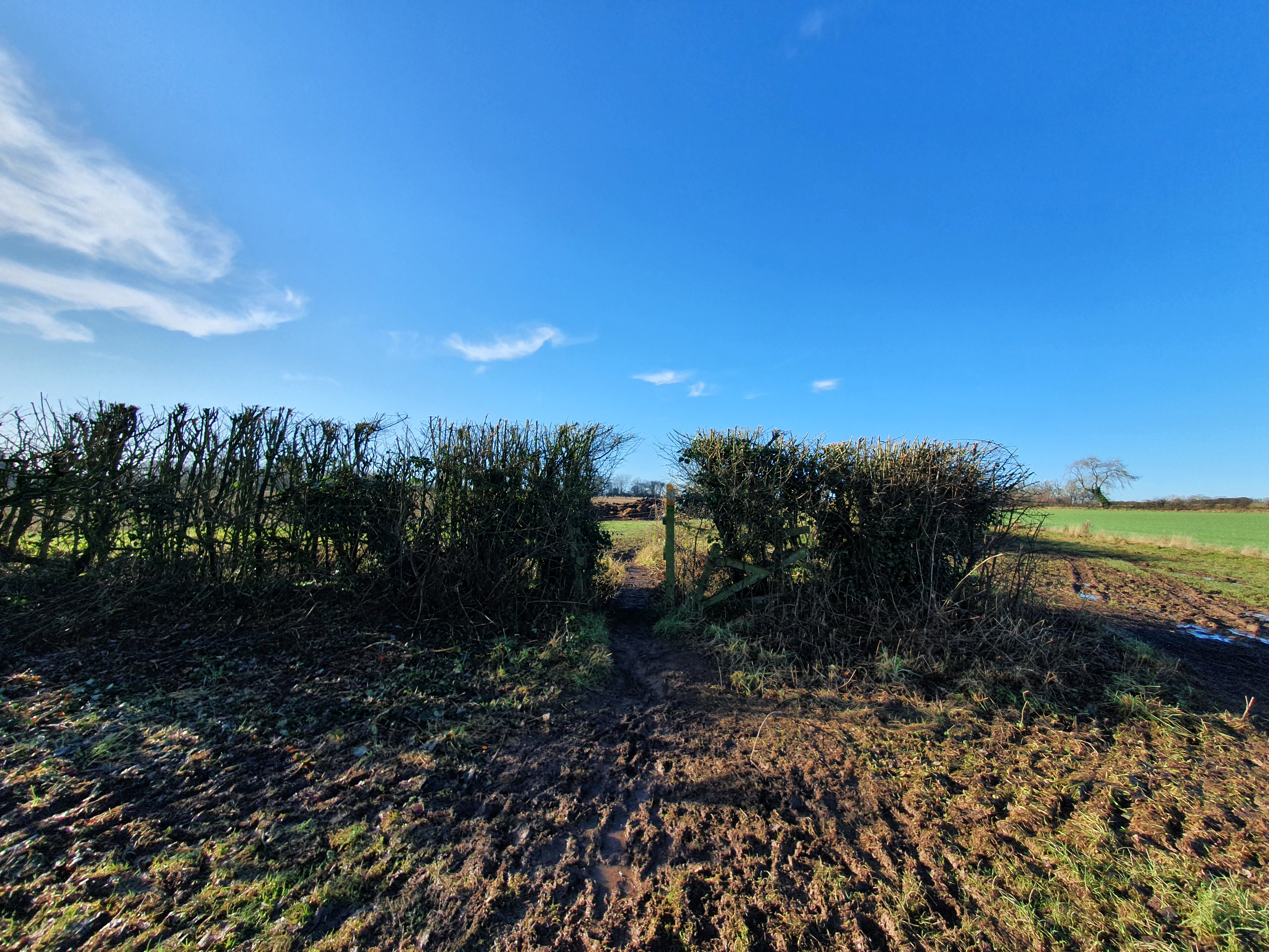 Footpath passes through gap in hedgerow