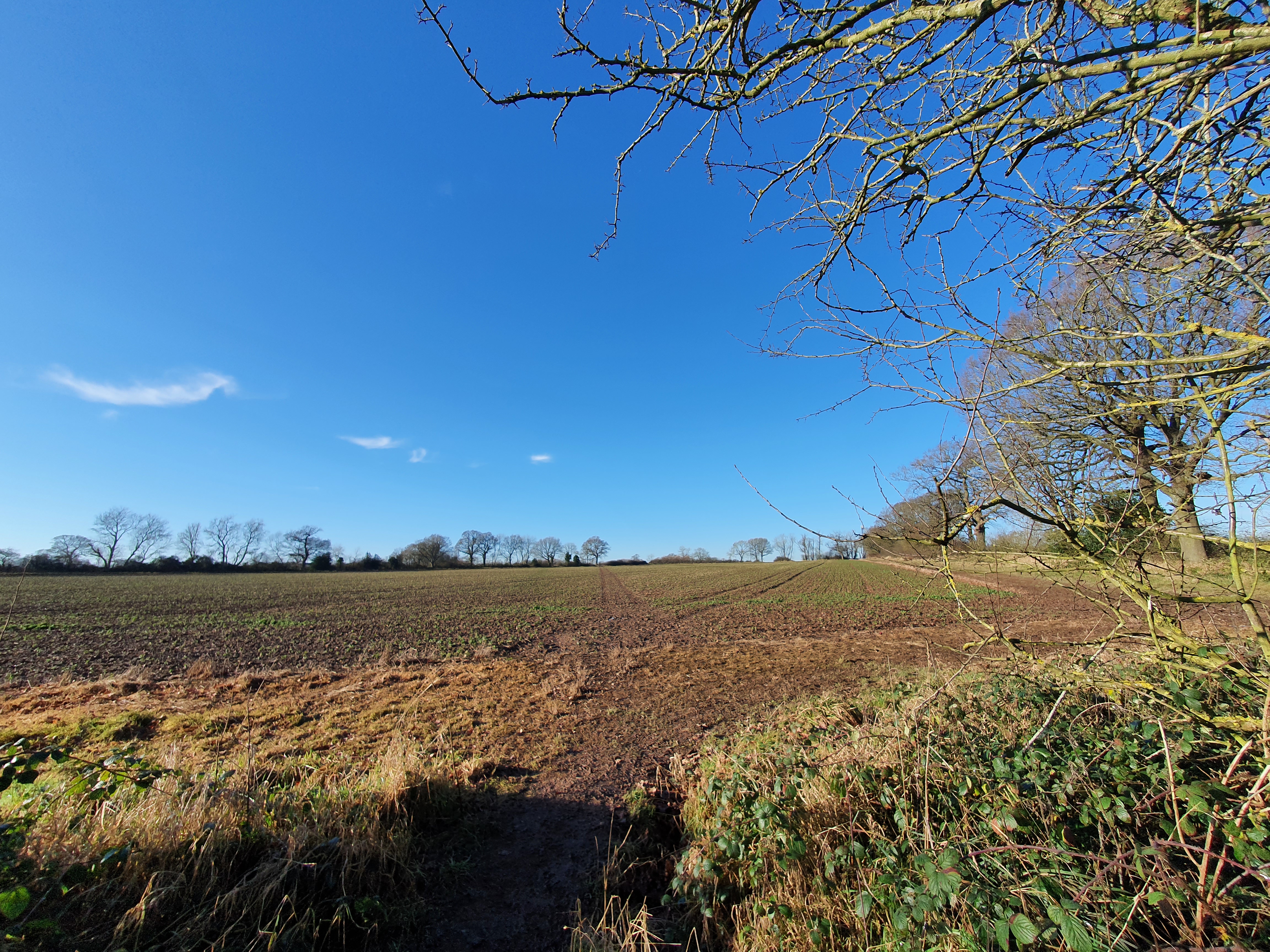 Approach to path across the centre of field to far side